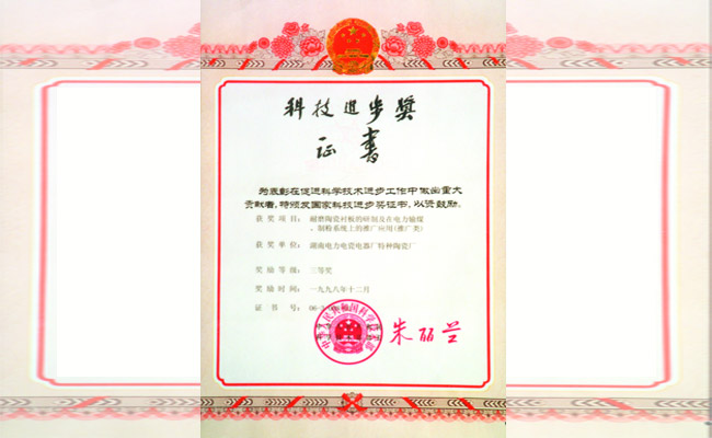 科學技術進步獎三等獎